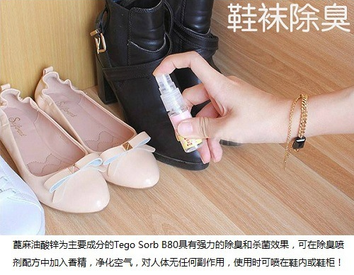 TEGO Sorb B80赢创蓖麻油酸锌宠物鞋袜子除臭剂喷雾 第3张