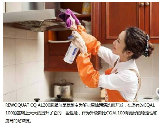 REWOQUTE CQ AL200赢创脱脂剂重油污清洗剂家庭清洁剂 第3张