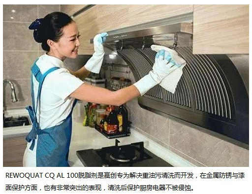 REWOQUAT CQ AL100德国赢创水基清洗剂工业重油污清洗剂 第3张