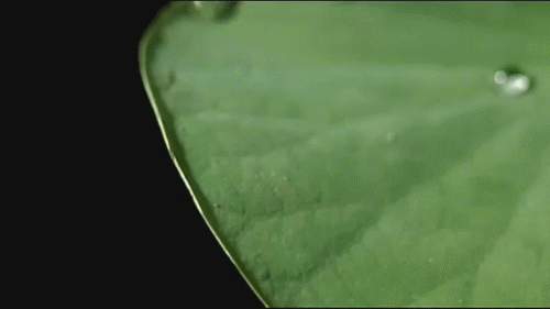 赢创TEGO Polish Additive Q70 季铵盐汽车快速驱水剂 第5张