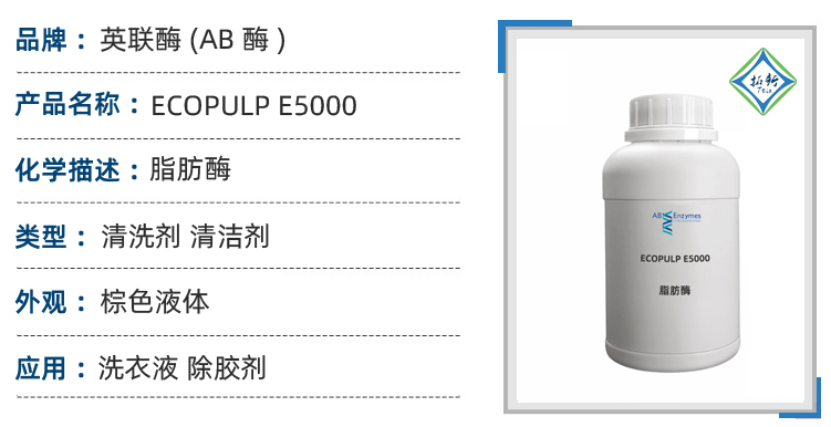 ECOPULP E5000英联酶脂肪酶织物油脂污渍清洗回收纸浆除胶剂 第1张
