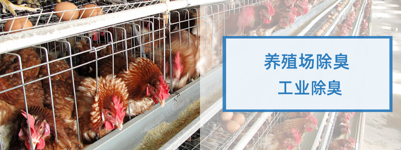 Absorb Additive R80装修除臭剂除醛祛味剂蓖麻油酸锌酯 第10张